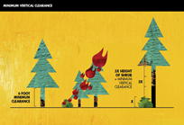 Map of trees showing how fire can climb up the various heights