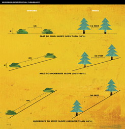 Map of trees and distance between them